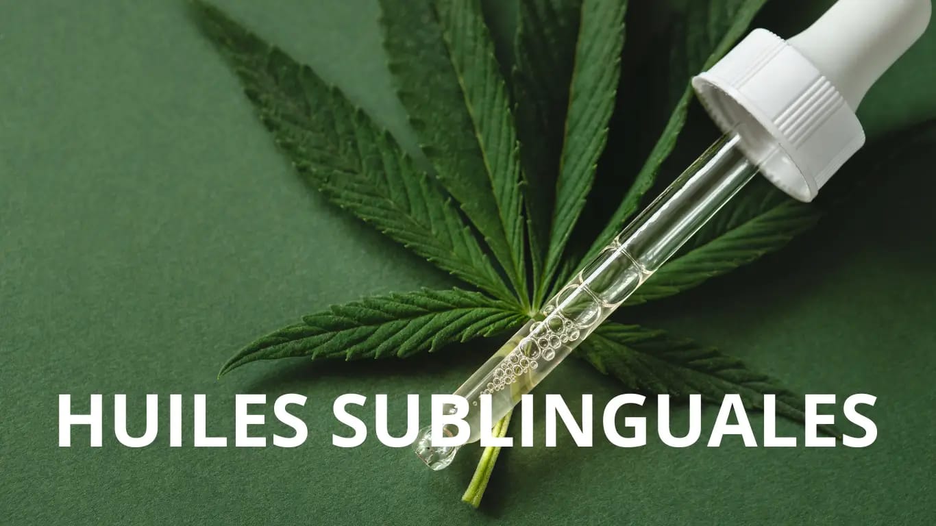 pipette d'huile sublinguale de cbd sur une feuille de chanvre