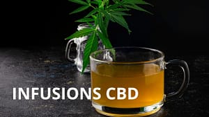 Infusion avec une feuille de chanvre qui infuse